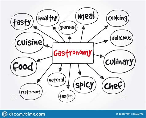 Gastronomy Mind Map Food Concept For Presentations And Reports Stock