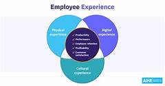 The Power Of Experience How Longevity Impacts Target Team Leader Pay
