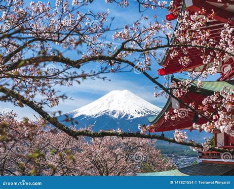 Japan Fuji Mountain Sakura Cherry Blossom With Red Pagoda Landmark