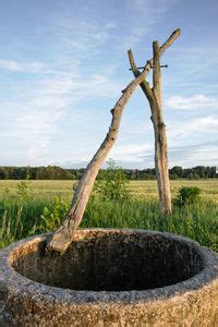 To show how large the tree has grown. CommonLit | The Man in the Well | Commonlit, The man, Free ...