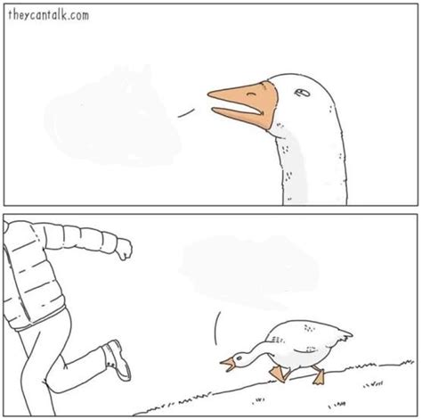 Angry Goose Blank Template Imgflip