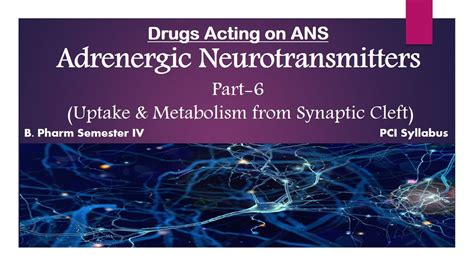 Adrenergic Neurotransmitters Part 6 Uptake 1 And Metabolism B Pharm