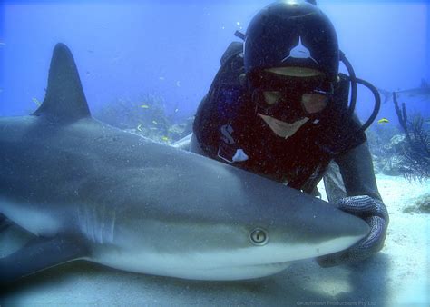 Australian Woman Swims With Sharks And Sings Their Praises Toronto Star