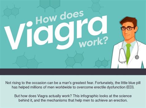 How Does Viagra Work Venngage Infographic