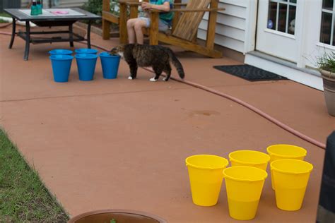 Do it yourself outdoor games. DIY BucketBall - A Backyard or Beach Game | Activities For Children | Do It Yourself, Outdoor ...