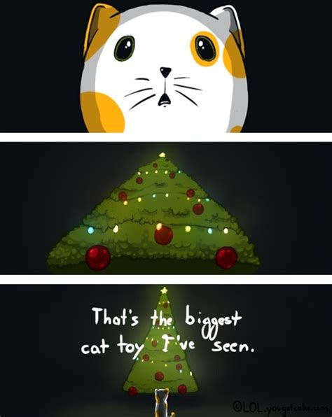 How My Cat Views Christmas Imgur