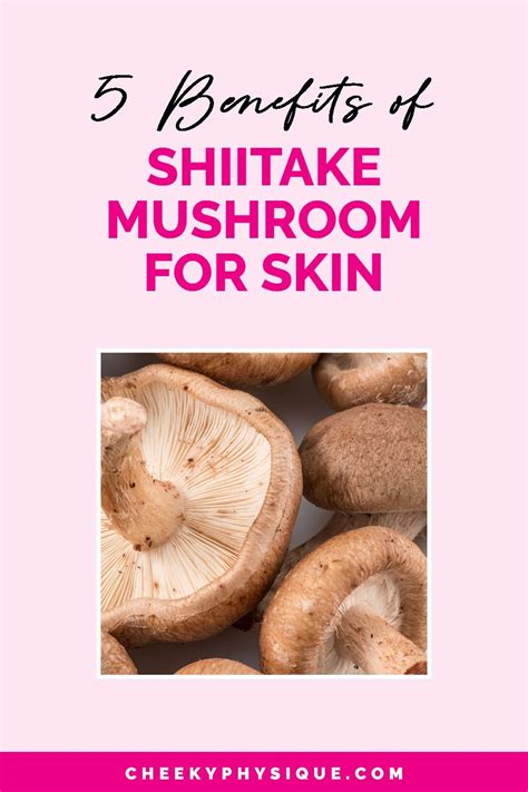 5 Magical Shiitake Mushroom Benefits For Skin Stuffed Mushrooms