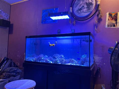 First saltwater tank how’s it look? It’s a 75 gallon. Any suggestions I