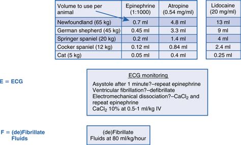 Cardiopulmonary Resuscitation Veterian Key