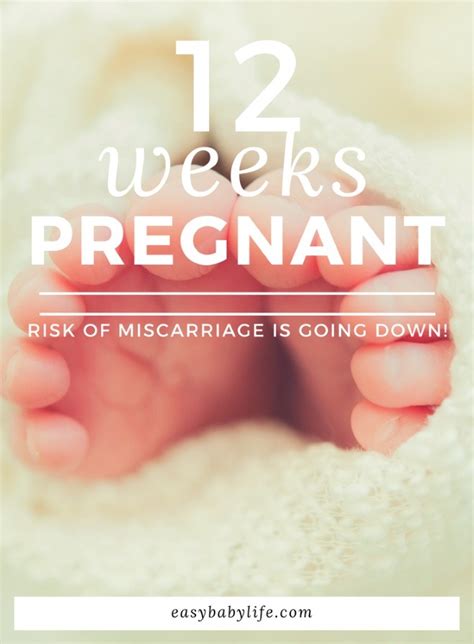 Being 12 Weeks Pregnant Now The Risk Of Miscarriage Is Going Down Yeay