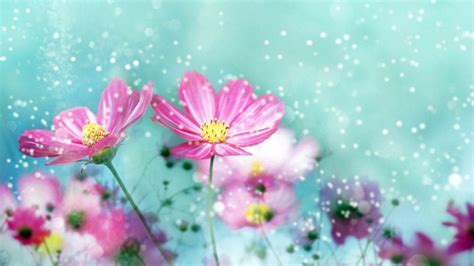 20 Tumblr Flower Backgrounds Wallpapers Freecreatives