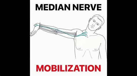 Nerve Mobilization Median Nerve Mobilization Cervical