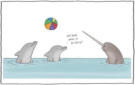Narwhal Pictures And Jokes Funny Pictures And Best Jokes