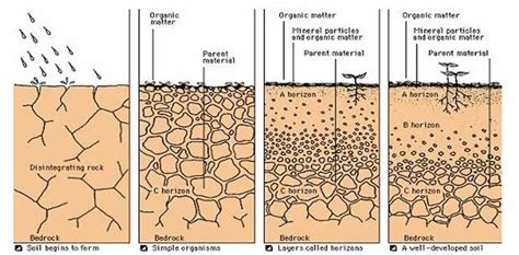 Soil formation and morphology basics. Formation of Soil - Civil Engineering Community