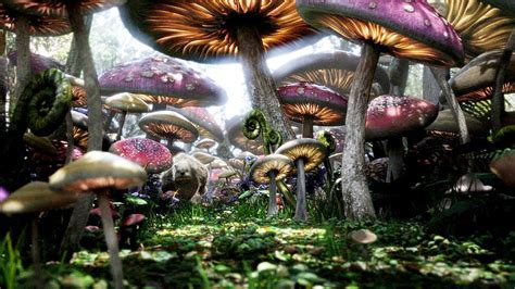 Aliceinwonderland Mushrooms The Spill Movie Community I Found
