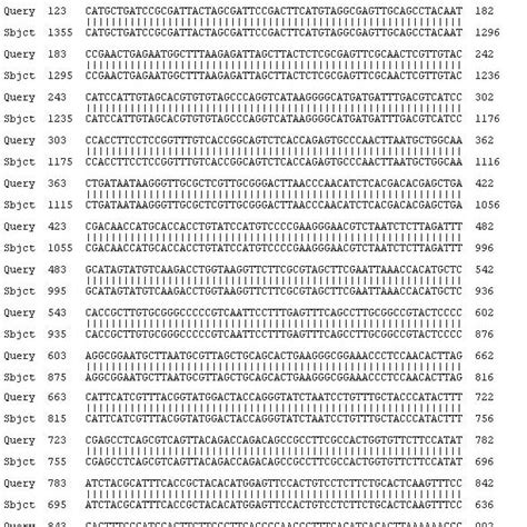 Comparison Of The Nucleotide Sequences Of 16s Rrna Gene Of 16s Rrna