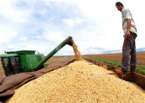 Agricultura No Centro Oeste