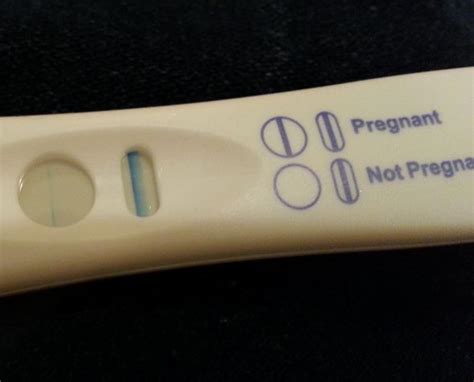 Faint Line On Pregnancy Test New Health Advisor