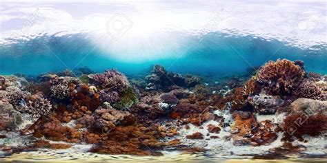 Spherical 360 Degrees Seamless Underwater Panorama Of The Vivid Coral