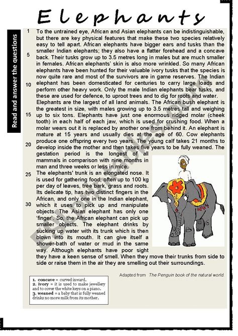 Elephants Reading Comprehension Varied Questions And Vocabulary Work
