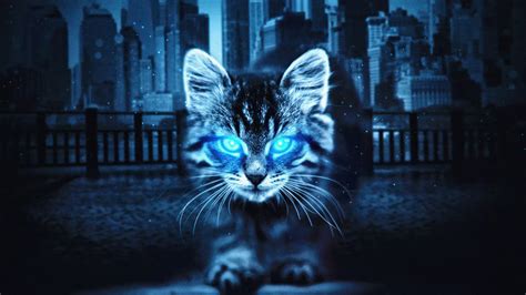 Cat With Glowing Eyes In The Night🐱