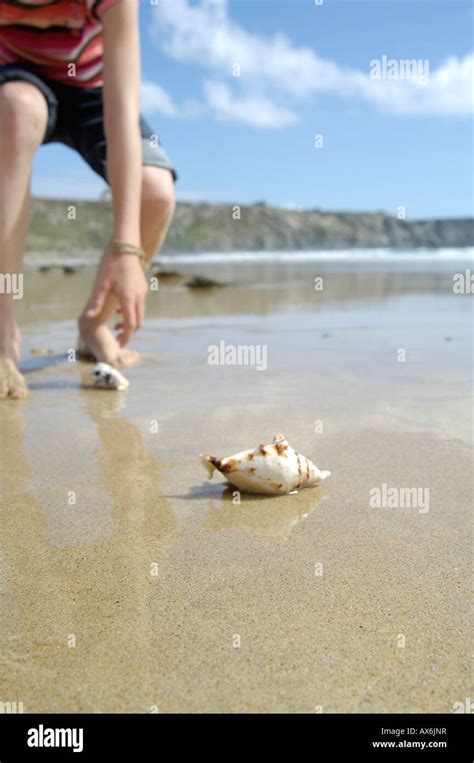 Low Section View Of Girl Picking Shell On Beach Stock Photo Alamy