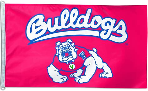 Download Wallpapers Fresno State Bulldogs 4k American