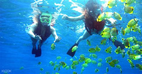 Pulau Payar Snorkeling And Diving Adventures From Langkawi Malaysia