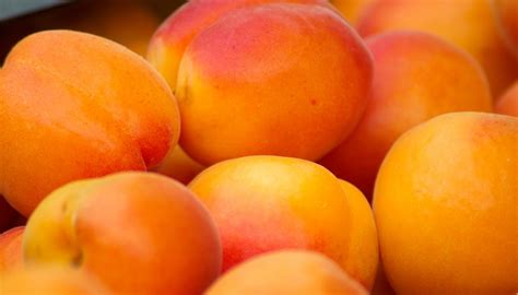 Free Images Food Produce Apricot Peach Fruit Tree Tangerine