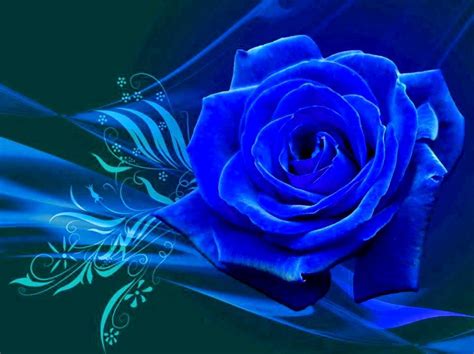 Free Download Blue Rose Wallpaper 95643 Hd Wallpapers
