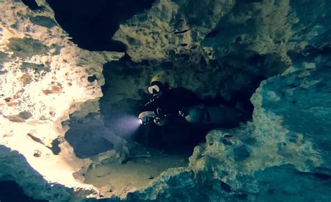 Cave Diving In Mexico Best Cave Diving In The World Frogman Diving
