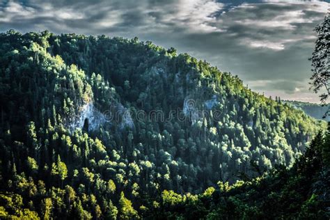 Entrance To A Cave On A Mountain In The Forest Stock Photo Image Of