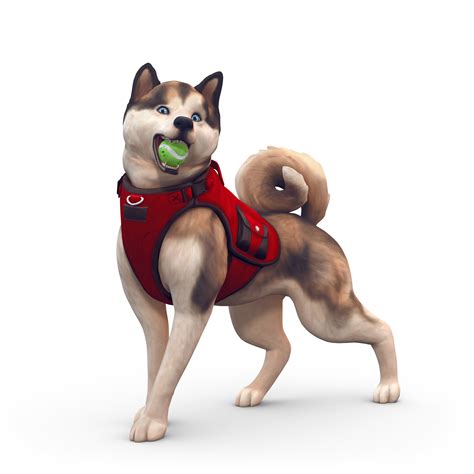 8 Neue Render Zu Die Sims 4 Hunde Und Katzen Simtimes
