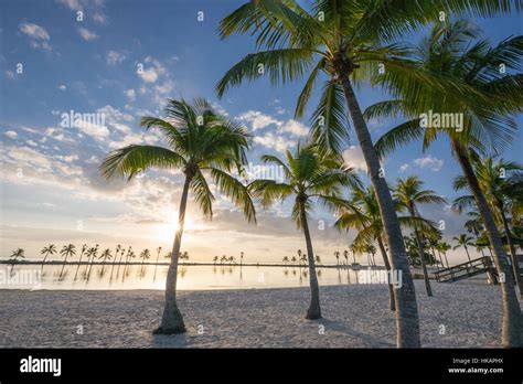 Sand Beach Reflecting Pool Atoll Matheson Hammock County Park Miami