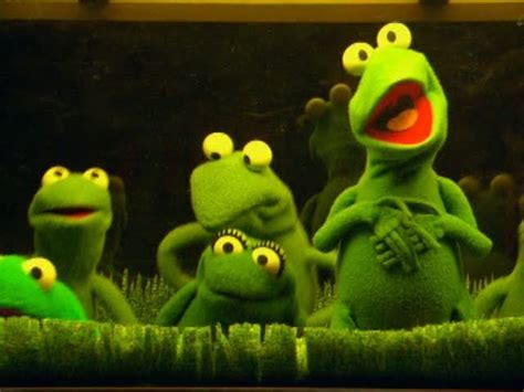 Frogs The Muppets Photo 12742808 Fanpop