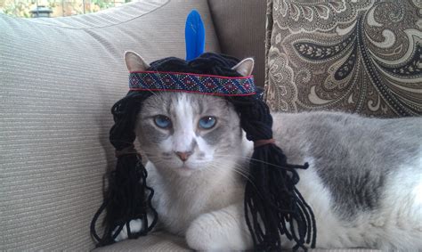 Cat Costume Native American Inspired Wig With Headband Catahontas