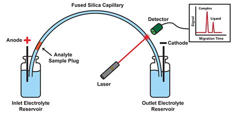 Qsep1 Capillary Electrophoresis System