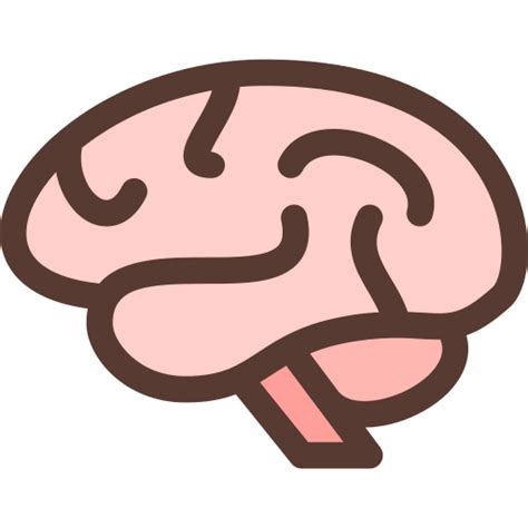 Brain Icon Transparent Background