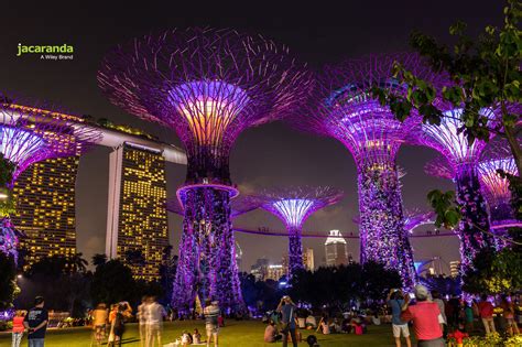 Singapore Lights Jacaranda