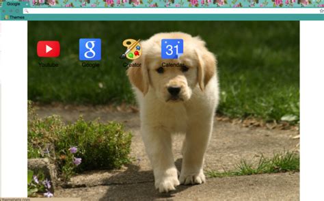 Cute Puppy Chrome Theme Themebeta