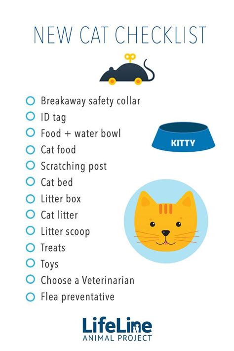 Be Prepared When You Bring Home Your New Adopted Cat With This Handy