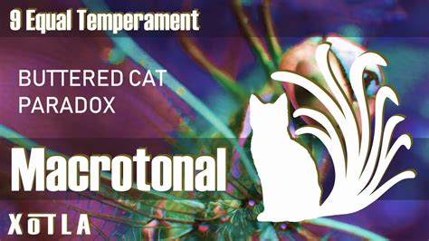 Buttered Cat Paradox 9edo Macrotonal Breakbeat Music Youtube