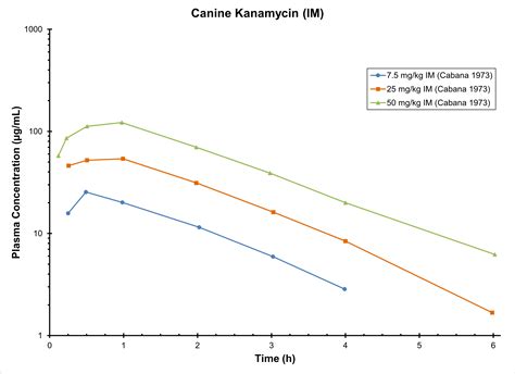 Canine Kanamycin Im 2024 