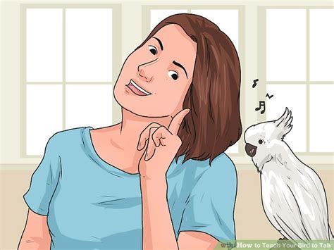 How To Teach Your Bird To Talk 11 Steps With Pictures Wikihow Pet