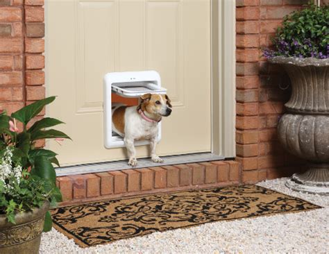 There are 583 bulldog door hanger for sale on etsy, and they cost $38.64 on average. Dog Door: guide to getting your pet the best dog door ...