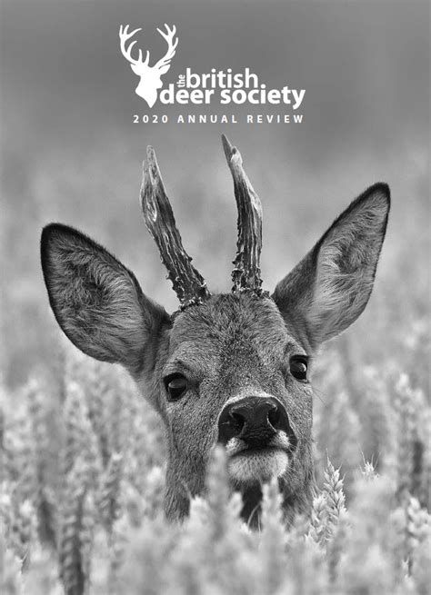 Annual Reviews The British Deer Society