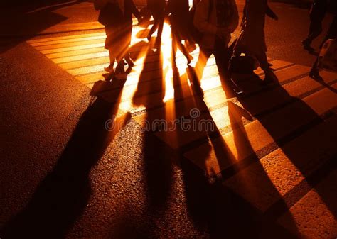 Silhouettes Of Walking People On Crosswalk During Sunset Background