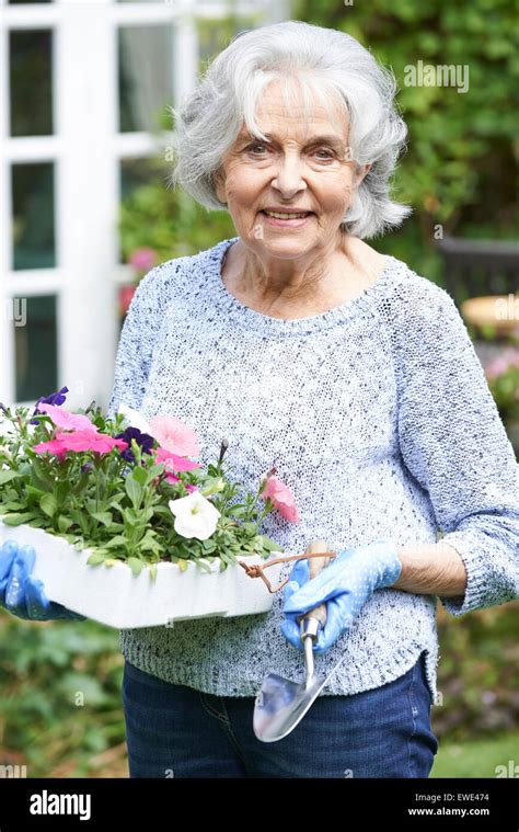 Woman Planting Flowers Hi Res Stock Photography And Images Alamy