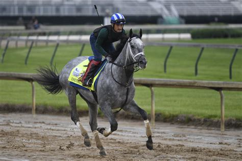 In some ways, the 2021 kentucky derby field has already been judged. Breaking down the field of the 2021 Kentucky Derby ...