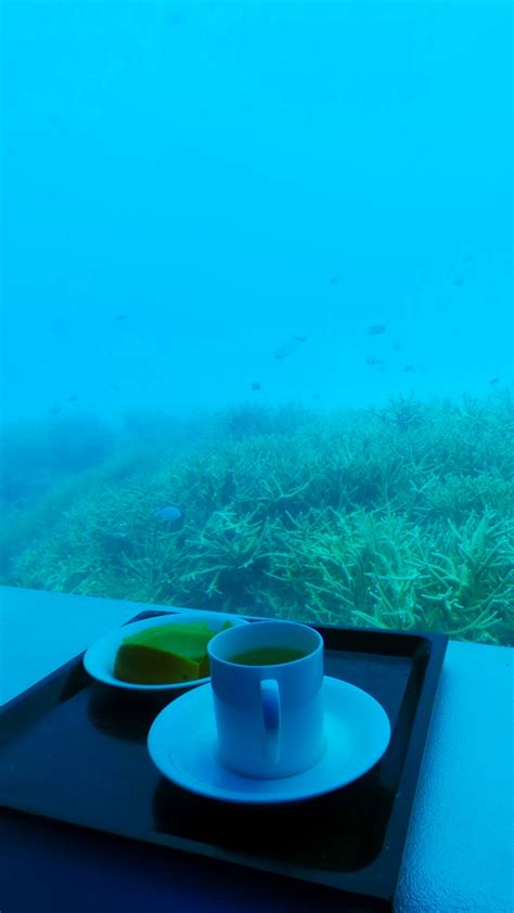 Underwater Spa In Huvafen Fushi The Ultimate Indulgence In The Maldives